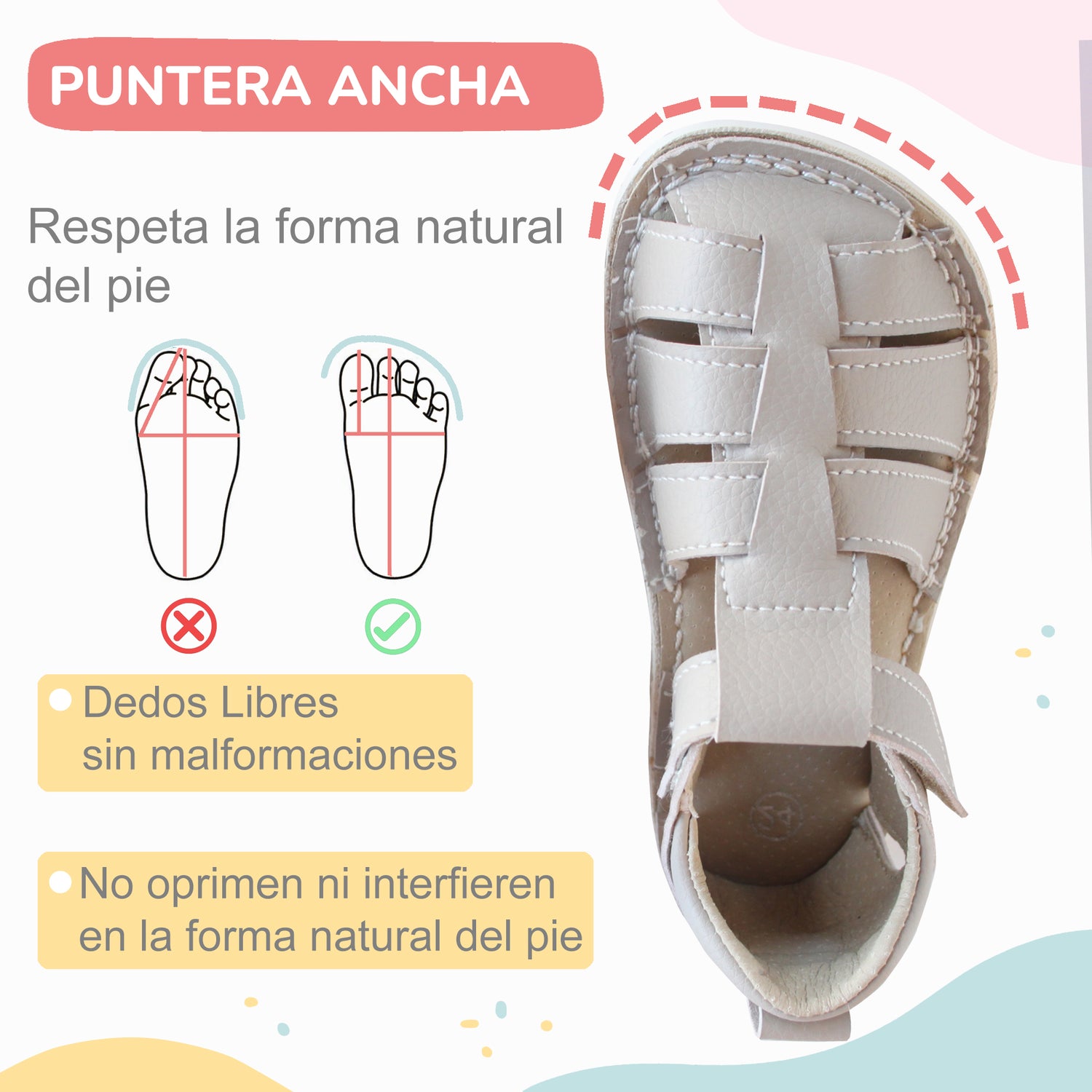 Noa arena